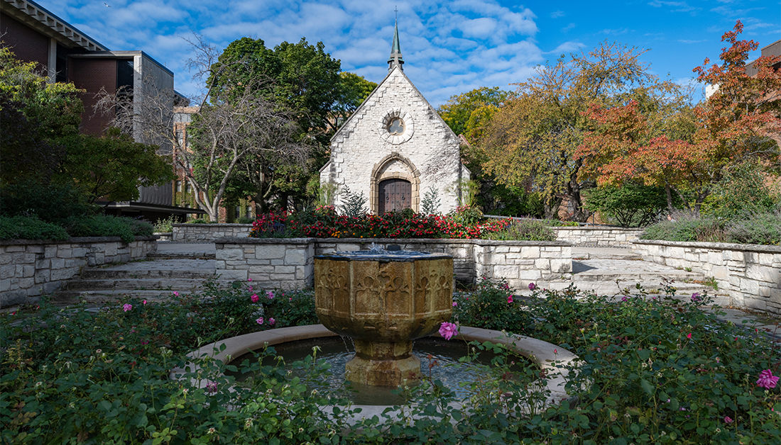 Marquette background 