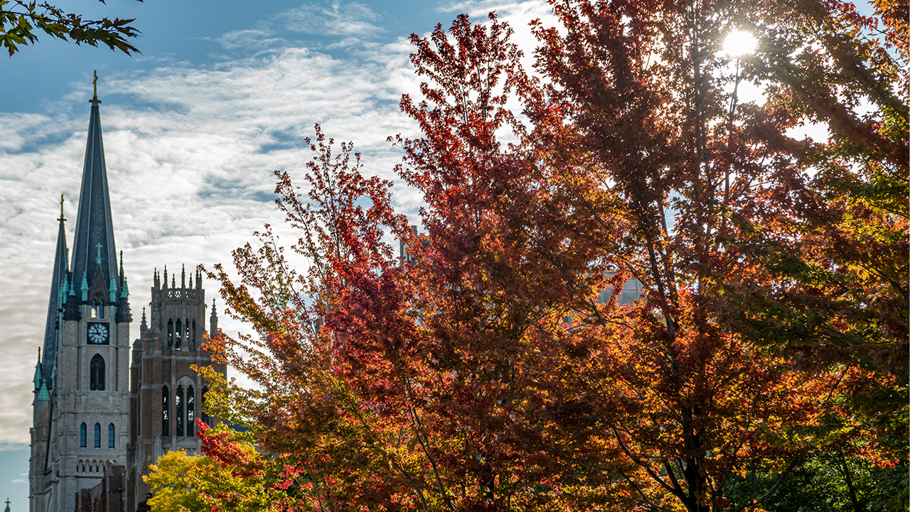 Marquette background 